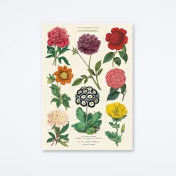 Botanica 2 Wrap