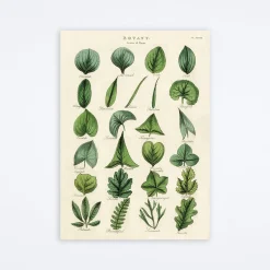 Botany Leaves Wrap