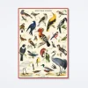 British Birds Wrap