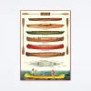 Canoes Wrap