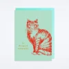 Cat Sympathy Card