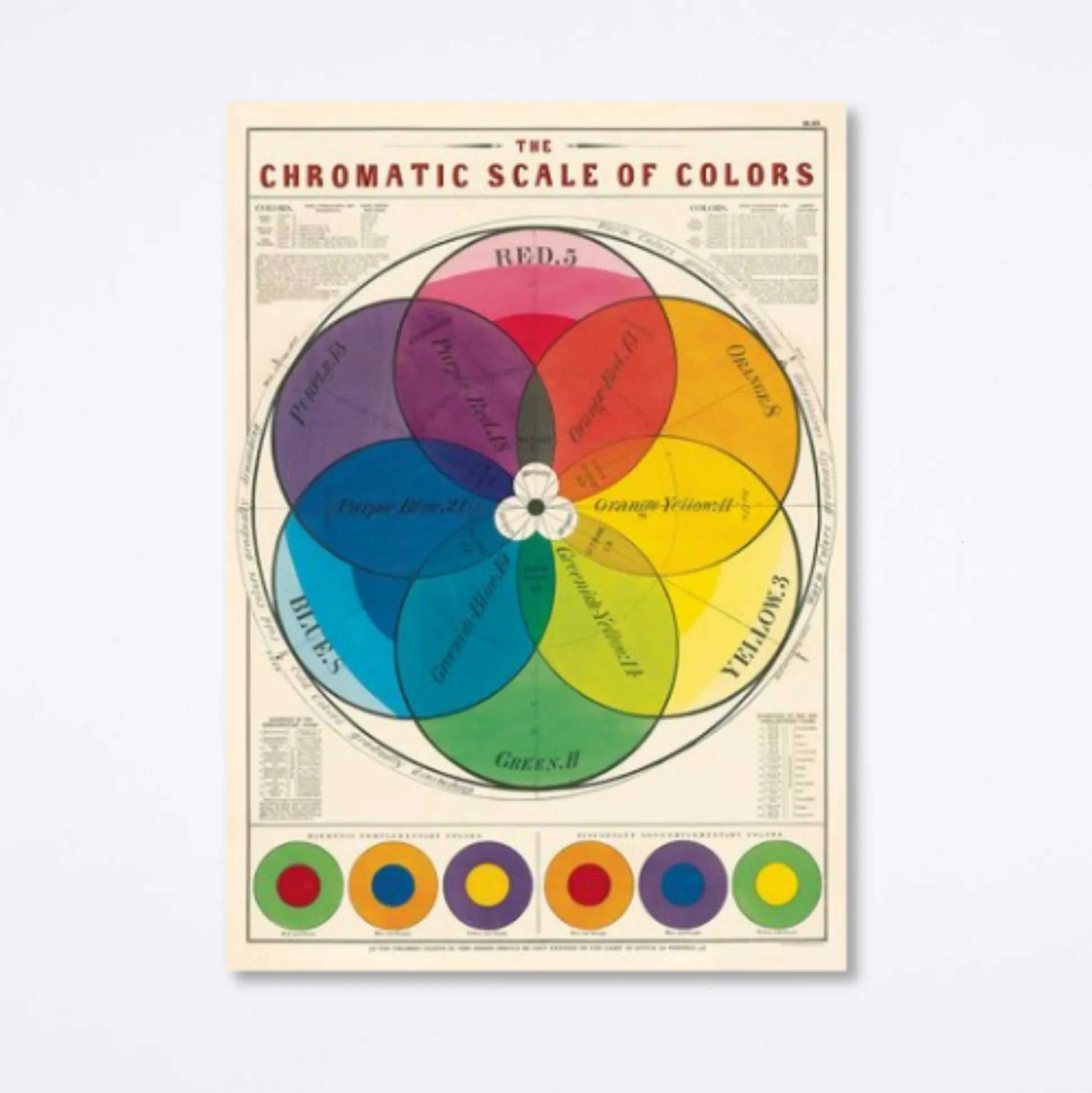Chromatic Scale of Colors Wrap