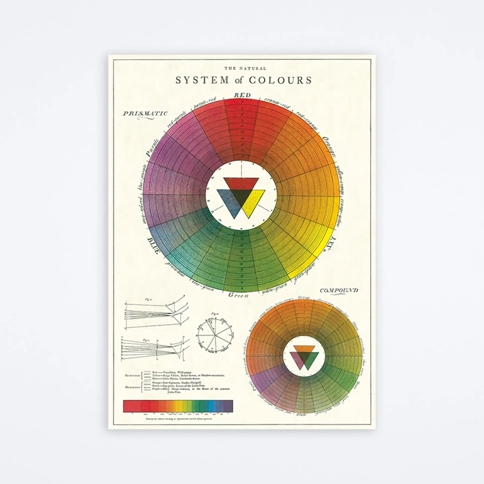 Color Wheel Wrap