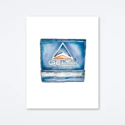 Delta Art Print
