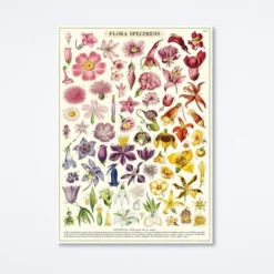 Flora Specimens Wrap