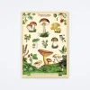 Forage Wrap