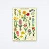 Garden Bulbs Wrap