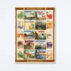 National Parks 2 Wrap