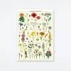 Wildflowers Wrap
